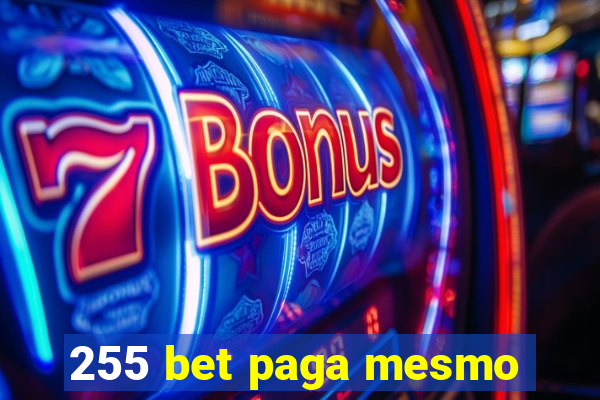 255 bet paga mesmo